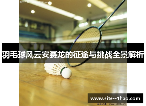 羽毛球风云安赛龙的征途与挑战全景解析