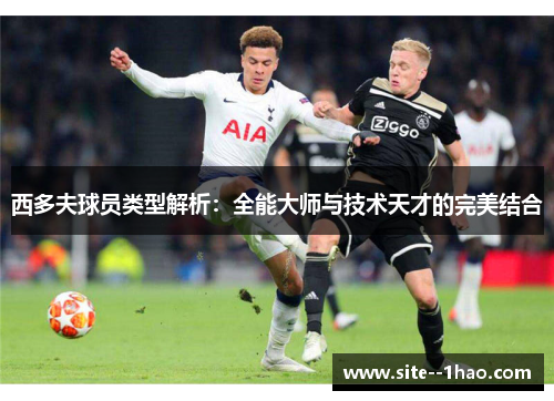 西多夫球员类型解析：全能大师与技术天才的完美结合