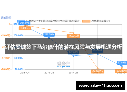 评估曼城签下马尔穆什的潜在风险与发展机遇分析