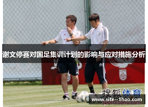 谢文停赛对国足集训计划的影响与应对措施分析