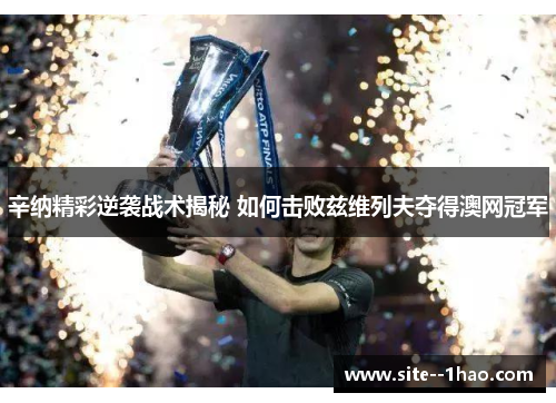 辛纳精彩逆袭战术揭秘 如何击败兹维列夫夺得澳网冠军