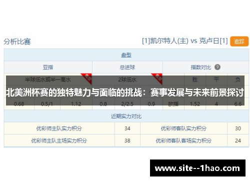 北美洲杯赛的独特魅力与面临的挑战：赛事发展与未来前景探讨