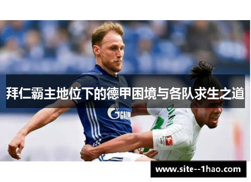 拜仁霸主地位下的德甲困境与各队求生之道