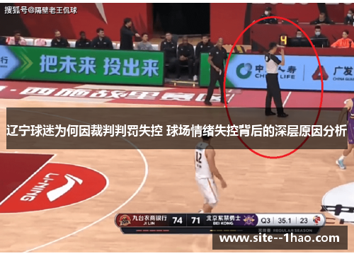 辽宁球迷为何因裁判判罚失控 球场情绪失控背后的深层原因分析