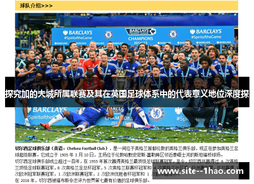探究加的夫城所属联赛及其在英国足球体系中的代表意义地位深度探 探究加的夫城所属联赛及其在英国足球体系中的代表意义地位深度探