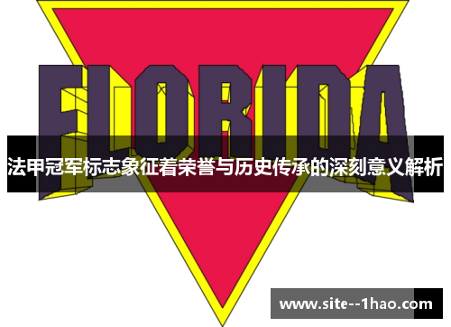 法甲冠军标志象征着荣誉与历史传承的深刻意义解析 法甲冠军标志象征着荣誉与历史传承的深刻意义解析