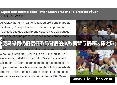 魔鸟缘何仍旧信任老马背后的执教智慧与情感选择之谜