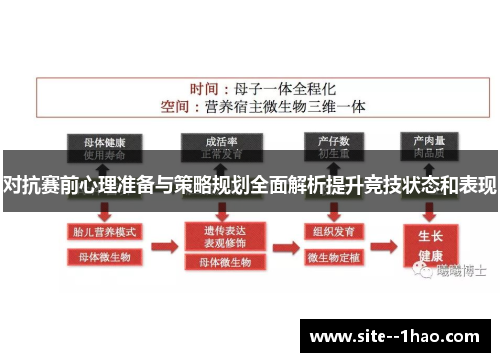 对抗赛前心理准备与策略规划全面解析提升竞技状态和表现