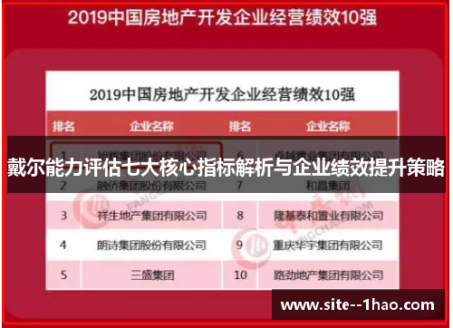 戴尔能力评估七大核心指标解析与企业绩效提升策略