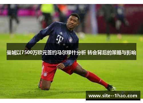 曼城以7500万欧元签约马尔穆什分析 转会背后的策略与影响