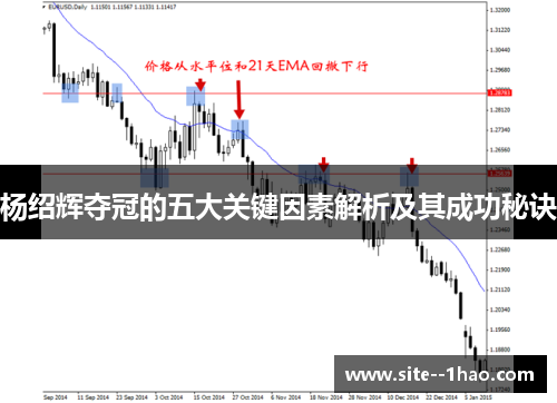 杨绍辉夺冠的五大关键因素解析及其成功秘诀 杨绍辉夺冠的五大关键因素解析及其成功秘诀