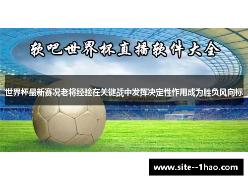 世界杯最新赛况老将经验在关键战中发挥决定性作用成为胜负风向标